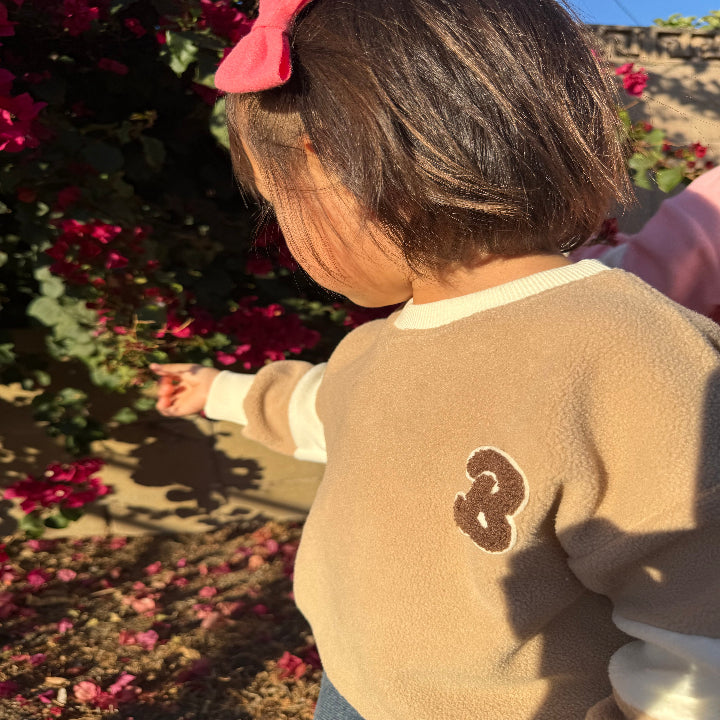 B Fleece Pullover